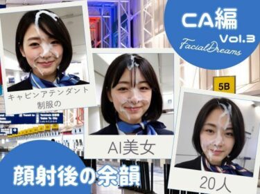 d_626184顔射後の余韻 – CA編 Vol.3フルダウンロード