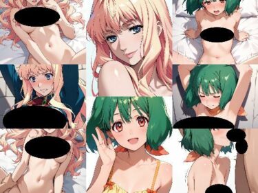 d_682907マク〇スF  2キャラいろいろHなAIイラスト集  100枚フルダウンロード