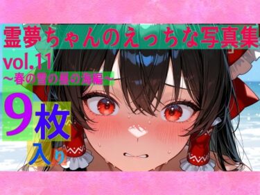 d_602175霊夢ちゃんのえっちな写真集vol.11〜春の雪の昼の海編〜フルダウンロード