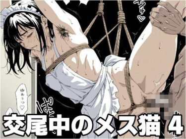 d_607305交尾中のメス猫 4フルダウンロード
