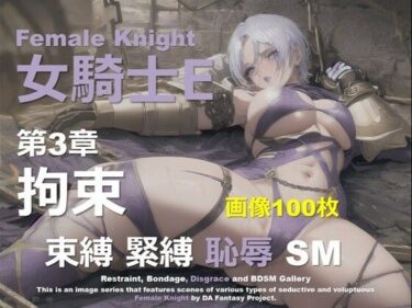 d_653425女騎士 E 第3章 〜拘束〜フルダウンロード