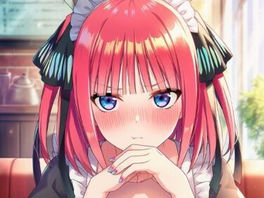 d_660618中野ニ〇ちゃんメイド服フルダウンロード