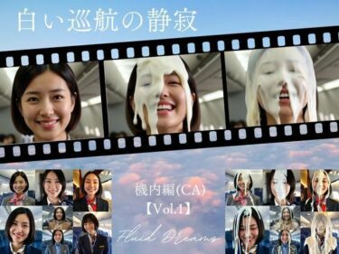 d_682486Fluid Dreams 白い巡航の静寂 機内編（CA）フルダウンロード
