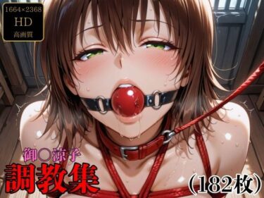 d_696187御〇涼子  調教集フルダウンロード