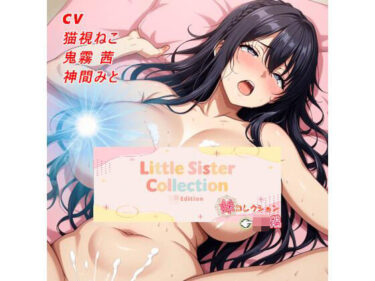 d_702507妹コレクション【JK編】フルダウンロード