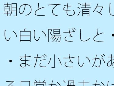 d_703091朝のとても清々しい白い陽ざしと・・まだ小さいがある日常か過去かはっきり分からない邪念の残り香フルダウンロード