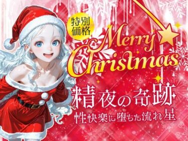 d_684208Merry Christmas  精夜の奇跡フルダウンロード