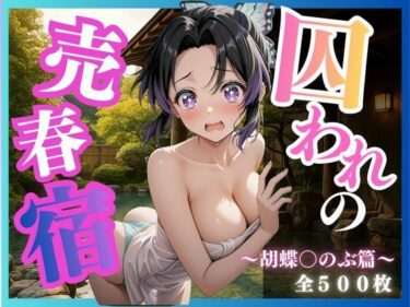 d_705515囚われの売春宿〜胡蝶〇のぶ編〜フルダウンロード