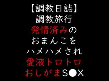 d_706425調教旅行  発情済みのおまんこをハメハメされ愛液トロトロおしがまS●Xフルダウンロード