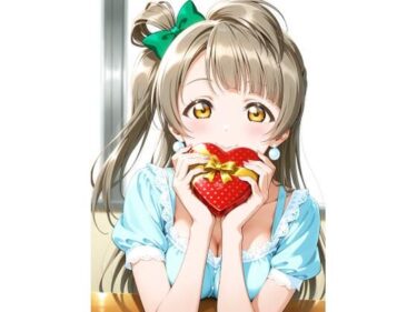 d_713983ラヴライヴ  ことりちゃんパックフルダウンロード