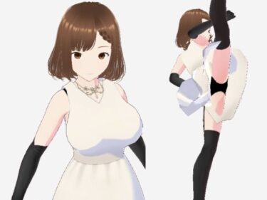 d_715375スカートの下にガーターストッキングを着たレディ（セリフなし  3DCGモデル  イラスト集）フルダウンロード
