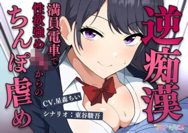 d_715876満員電車で逆痴●！性欲強めのJKの着衣チンポイジめフルダウンロード