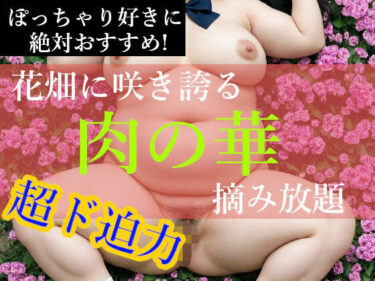 d_719267ぽっちゃり娘【肉の華】フルダウンロード