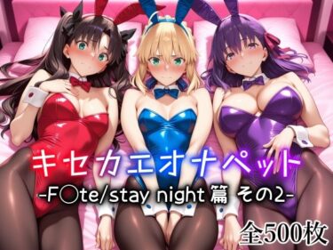 d_725863キセカエオナペット -F◯te stay night篇 その2-フルダウンロード