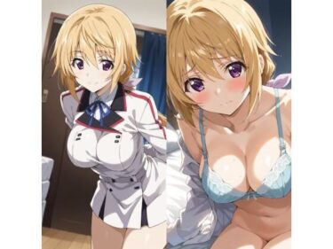 d_731850シャルロット・デュノアイラスト集1フルダウンロード