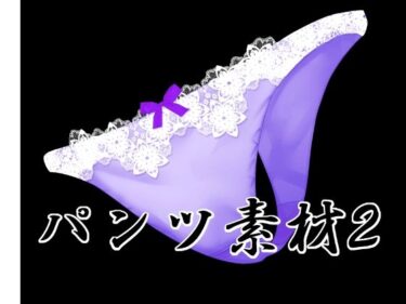 d_733245パンツ素材2フルダウンロード