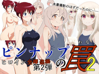d_739004ピンナップの罠2フルダウンロード