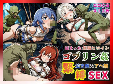 d_739668捕まった無職ヒロインがゴブリン姦で緊縛されて泣き顔＆アヘ顔SEX！【ロキシー・エリス・シルフィ編】フルダウンロード
