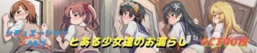 d_740016とある少女達のお漏らしフルダウンロード