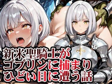 d_741518新米聖騎士ゴブリンに捕まりメス堕ちフルダウンロード
