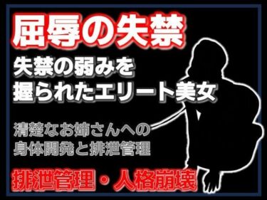 d_760210密室の聖女失禁:エレベーターに閉じ込められた清楚な年上美女をペットボトル排尿で屈服させた夜フルダウンロード